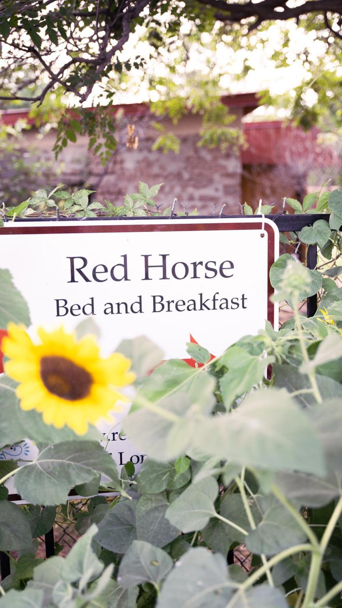 Red Horse Bed And Breakfast 阿尔伯克基 外观 照片